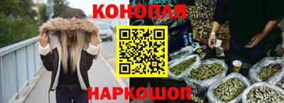 прущие грибы Анапа