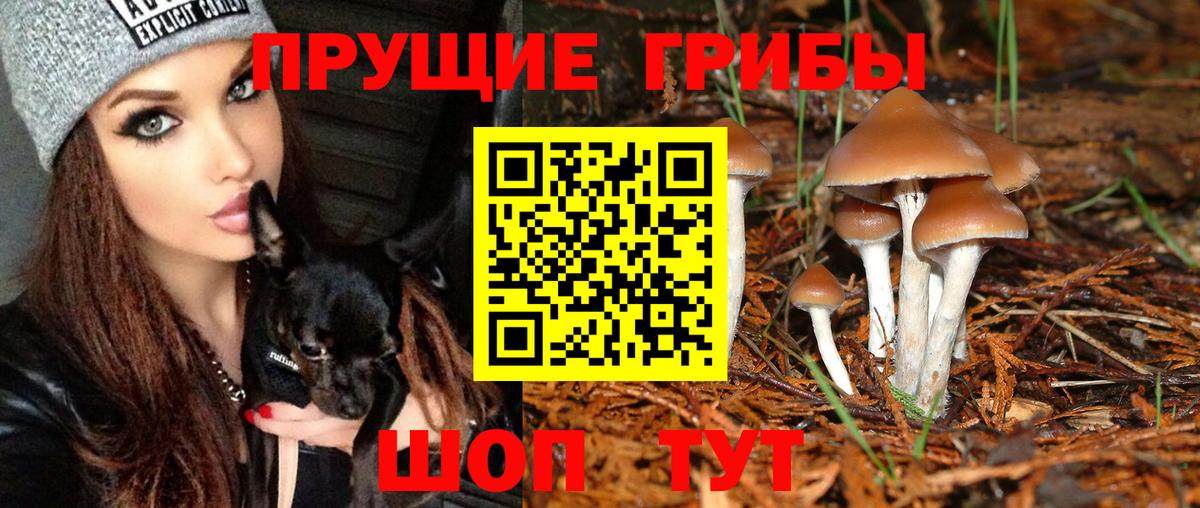 Галлюциногенные грибы MAGIC MUSHROOMS Лабытнанги