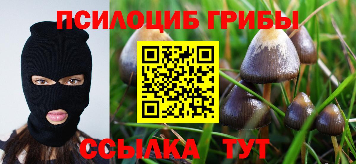 Лабытнанги  Галлюциногенные грибы мицелий  Вход с VPN 